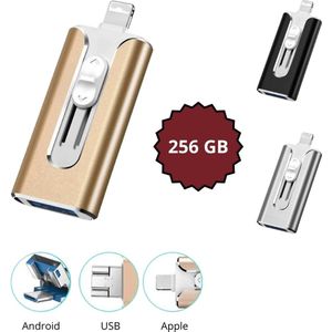 USB Stick - Goud - 4in1 - USB 3.0 - 256GB - Mini USB - Flash Drive