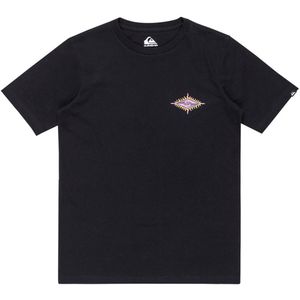Quiksilver Ev Beach Blast T-shirt Met Korte Mouwen Zwart 16 Years Jongens