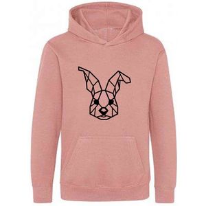 Be Friends Hoodie - Konijn - Kinderen - Roos - Maat 1-2 jaar
