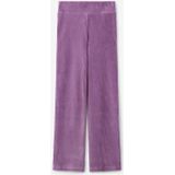 Sissy-Boy - Paarse rib flared legging