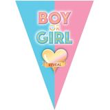 2x stuks gender reveal babyshower thema vlaggetjes slinger/vlaggenlijn van 5 meter met 10 puntvlaggetjes - Feestartikelen