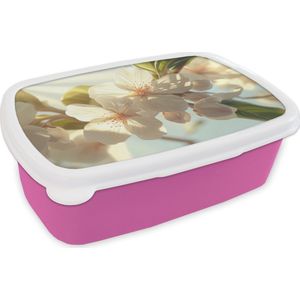 Broodtrommel Roze - Lunchbox Bloesems - Wit - Zonnestralen - Bloemblaadjes - Brooddoos 18x12x6 cm - Brood lunch box - Broodtrommels voor kinderen en volwassenen