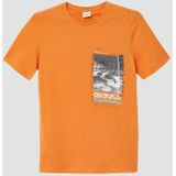 T-shirt - Regular-fit - Katoenen Jersey - Met Print - Korte Mouwen