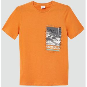 T-shirt - Regular-fit - Katoenen Jersey - Met Print - Korte Mouwen