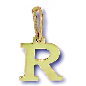 Goud Hanger Letter R 14 karaats