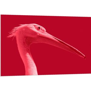 WallClassics - PVC Schuimplaat - Roze vogel met Lange Snavel en Roze Achtergrond - 120x80 cm Foto op PVC Schuimplaat (Met Ophangsysteem)
