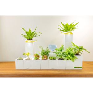 LeGrow TG-House - Plantenpot - Smart Garden - Oplaadstation - SET