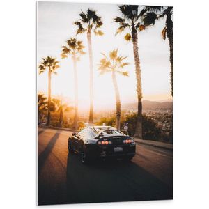 Forex - Mooie Zwarte Auto Op een Weg Met Palmbomen Er Langs - 80x120cm Foto op Forex