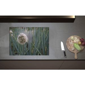 Inductieplaat Beschermer - Bloem van Grove Bieslook bij Groene Lange Stengels - 70x50 cm - 2 mm Dik - Inductie Beschermer - Bescherming Inductiekookplaat - Kookplaat Beschermer van Wit Vinyl