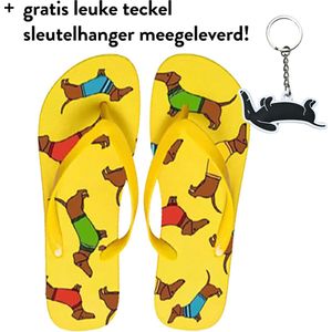 Teckel - flip flops - flip flop teckel - teenslipper - teenslippers - hond - teckelprint - slippers - badslippers - maat 40/41 - geel - teckel slippers