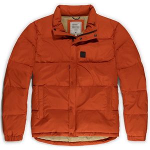 Vintage Industries - Cas Jacket - Steppjacke - Oranje