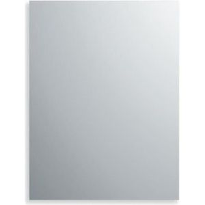Plieger Spiegel Rechthoekig - 120x60cm