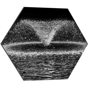 Dibond Hexagon - Water - Druppels - Spetters - Zwart - Wit - 50x43.5 cm Foto op Hexagon (Met Ophangsysteem)