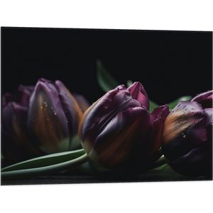 Vlag - Paarse Tulpen in het Donker - Bloemen - 80x60 cm Foto op Polyester Vlag
