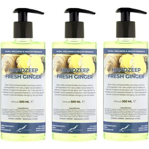 Handzeep Fresh Ginger 500 ml - met gratis pompje - set van 3 stuks