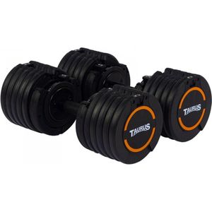 Dumbbells aldi outlet