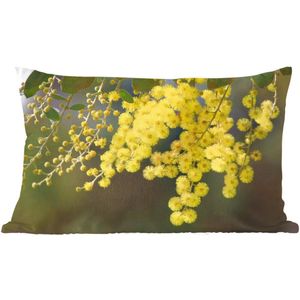 Sierkussens - Kussen - Mimosa plant met gele bladeren - 50x30 cm - Kussen van katoen