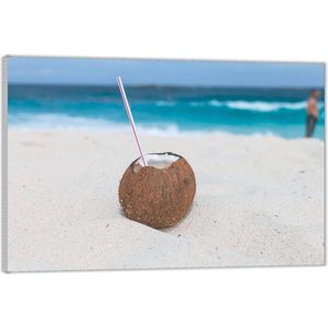 Acrylglas –Kokosnoot met Rietje op Strand -40x30 (Met ophang)