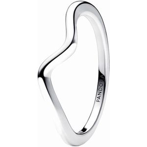 Pandora Timeless Dames Ring Zilver - Zilverkleurig - 16.50 mm / maat 52