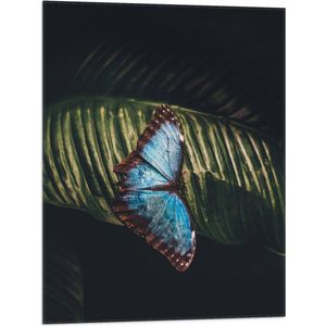 WallClassics - Vlag - Blauw met Zwarte Vlinder op Groen Blaadje - 60x80 cm Foto op Polyester Vlag