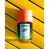 Loewe - Unisex - Paula's Ibiza Eclectic - Eau de toilette 50 ml