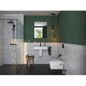 Hansgrohe EluPura Q Original - Toiletbril, SoftClose, wit 60150450