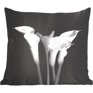 Sierkussen - Een Close Up Van Calla Lily-bloemen Op Een Zwarte Achtergrond