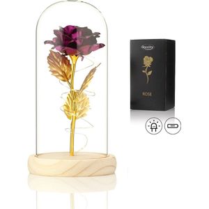 Luxe Roos in Glas met LED - Gouden Roos in Glazen Stolp – Cadeau voor vriendin moeder haar - Paars - Lichte Voet – Qwality