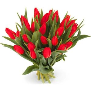 25 rode tulpen boeket
