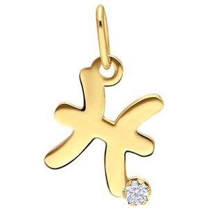 Hanger - Goudkleurig - 9 Karaat - Keurmerk 375