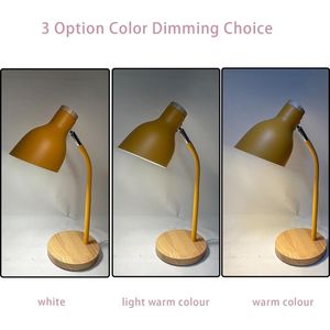 Table Lamp / Professional Task Lighting - Desk Lamp