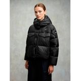 Blauer - Laval - Gewatteerd Donsjack - Zwart - Glimmende Stof