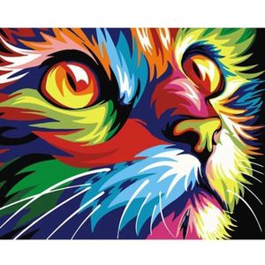Painting Expert® Schilderen op nummer Volwassenen - Schilderen op nummer Kinderen - Kattenhoofd - 40x50cm - Exclusief Lijst (24 kleurtjes)