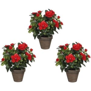 Set van 3x stuks groene Azalea kunstplanten rode bloemen 27 cm in pot stan grey - Kunstplanten/nepplanten