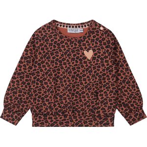 Dirkje S-DREAMS Meisjes Trui - Maat 68