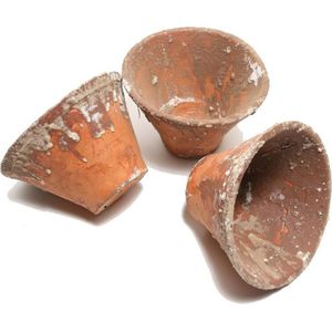 DBT Bloempot Hars Pot Naturel-Terracotta D 11 cm H 11 cm Voordeelaanbod per 3 stuks