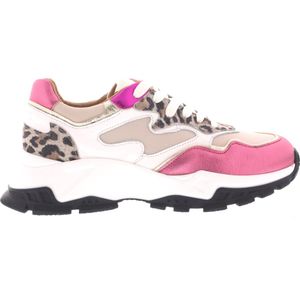 Dames Sneakers Dwrs Chester Leopard White Pink Multi - Maat 40