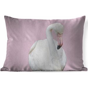 Sierkussens - Kussen - Witte flamingo - 60x40 cm - Kussen van katoen