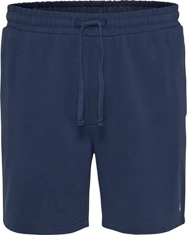 Tommy Jeans College Pop Surfer Korte Broek Blauw M Man