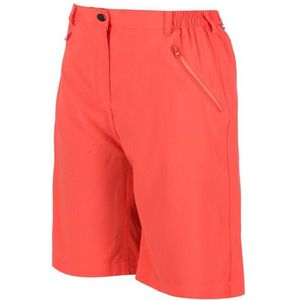 Regatta Shorts Xert StrBermudaLt