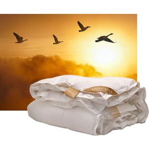 iSleep Gold Donzen 4-seizoenen dekbed - 100% Ganzendons - Eenpersoons - 140x220 cm