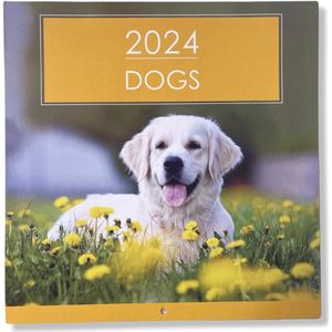 2024 Honden Maandkalender - 28x28,5cm - Hondenkalender - omslagkalender