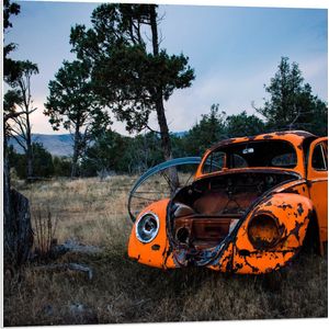 PVC Schuimplaat- Kapotte Oranje Auto in landschap - 80x80 cm Foto op PVC Schuimplaat
