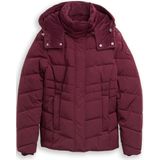 TOM TAILOR - Gewatteerde Jas - Bordeaux - Winterjas
