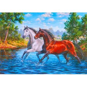 Diamond Painting Pakket - Paarden in Rivier - 50x40 cm - Complete Set - Volledige Bedekking - Ronde Steentjes