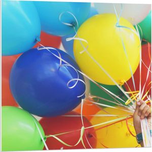 Forex - Gekleurde Ballonnen aan Wit Touw - 80x80cm Foto op Forex