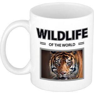 Dieren foto mok tijger - 300 ml - wildlife of the world - cadeau beker / mok tijgers liefhebber