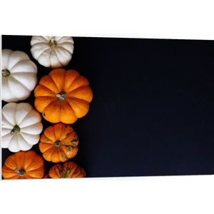 PVC Schuimplaat- Wit met Oranje Pompoenen op Zwarte Achtergrond - 105x70 cm Foto op PVC Schuimplaat
