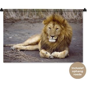 Wandkleed Leeuwen - Liggende leeuw in Afrika Wandkleed katoen 90x60 cm - Wandtapijt met foto