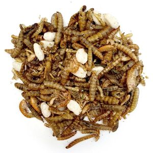 Premium insectenmix voor vissen 1 Liter